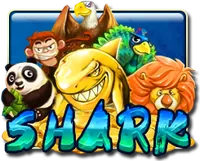 Shark